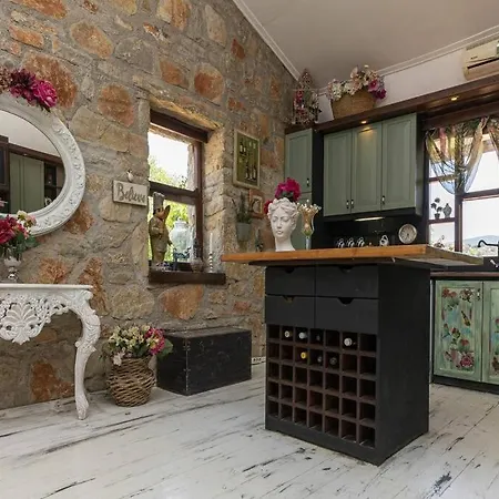 Astonishing Villa In Bodrum Willa