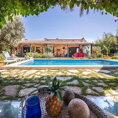 Astonishing Villa In Bodrum Willa