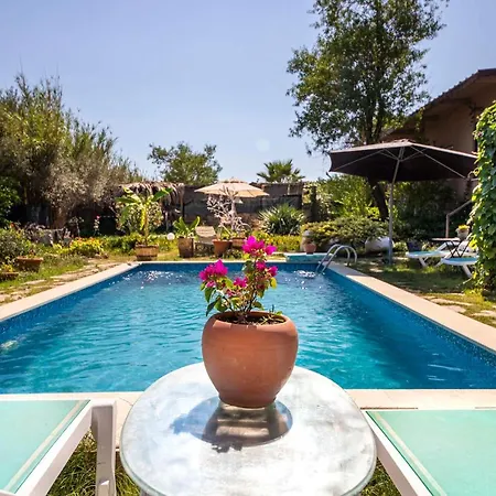 Willa Astonishing Villa In Bodrum *